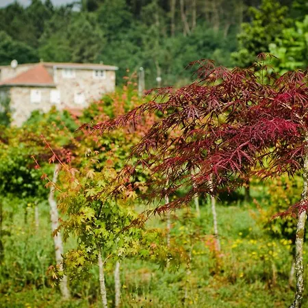 Venkovský dům Casa Suarez Turismo Rural *